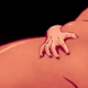 Illustration for article titled I Fuck Fat People
